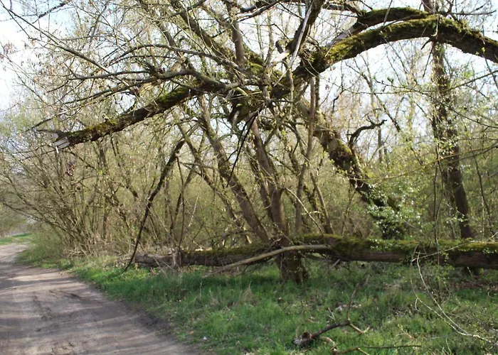 Camping domki letniskowe